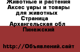 Животные и растения Аксесcуары и товары для животных - Страница 3 . Архангельская обл.,Пинежский 